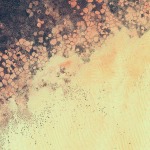 Stock Android 5.0 Lollipop Wallpapers (9)